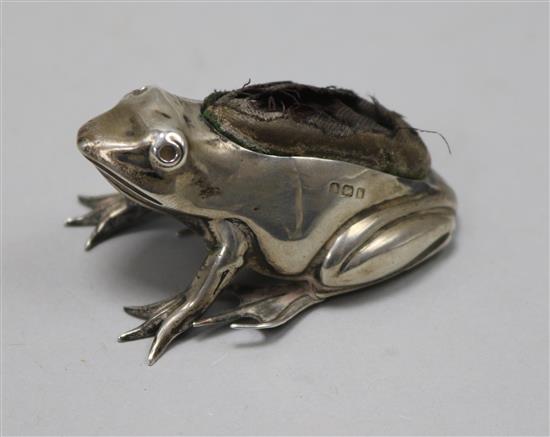 An Edwardian novelty silver mounted pin cushion, modelled as a frog, marks rubbed, 6cm.